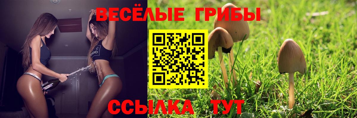 Галлюциногенные грибы мицелий  Вход с VPN  Псилоцибиновые грибы мухоморы  Горно-Алтайск 